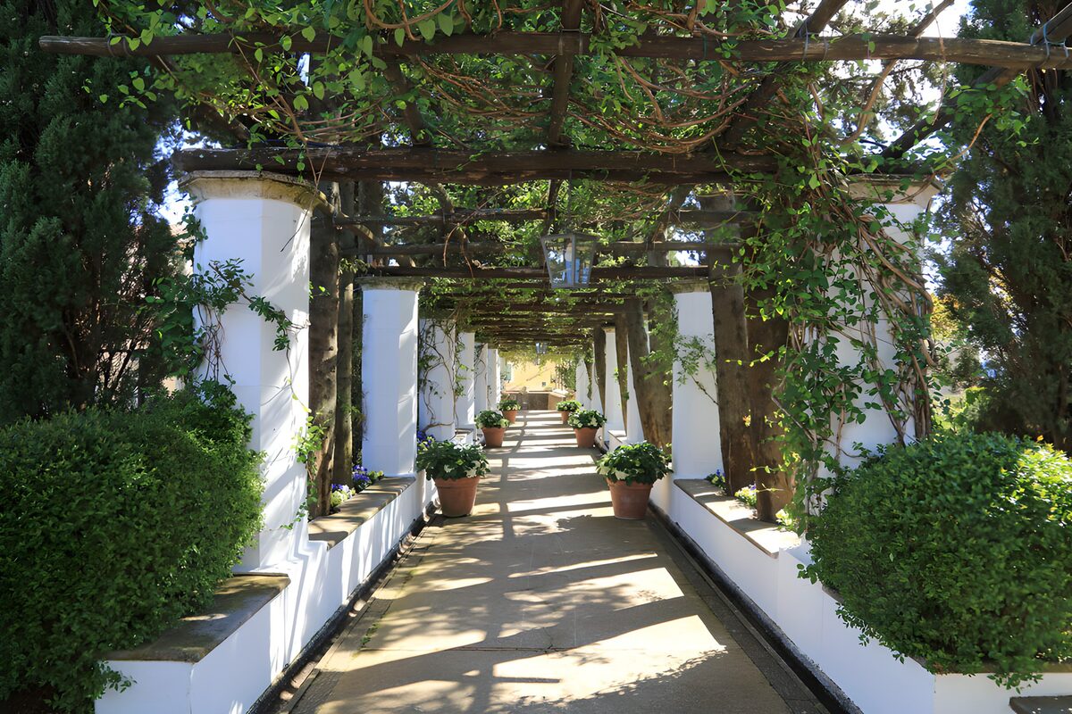 TPFR33982: Allée verdoyante sous une pergola