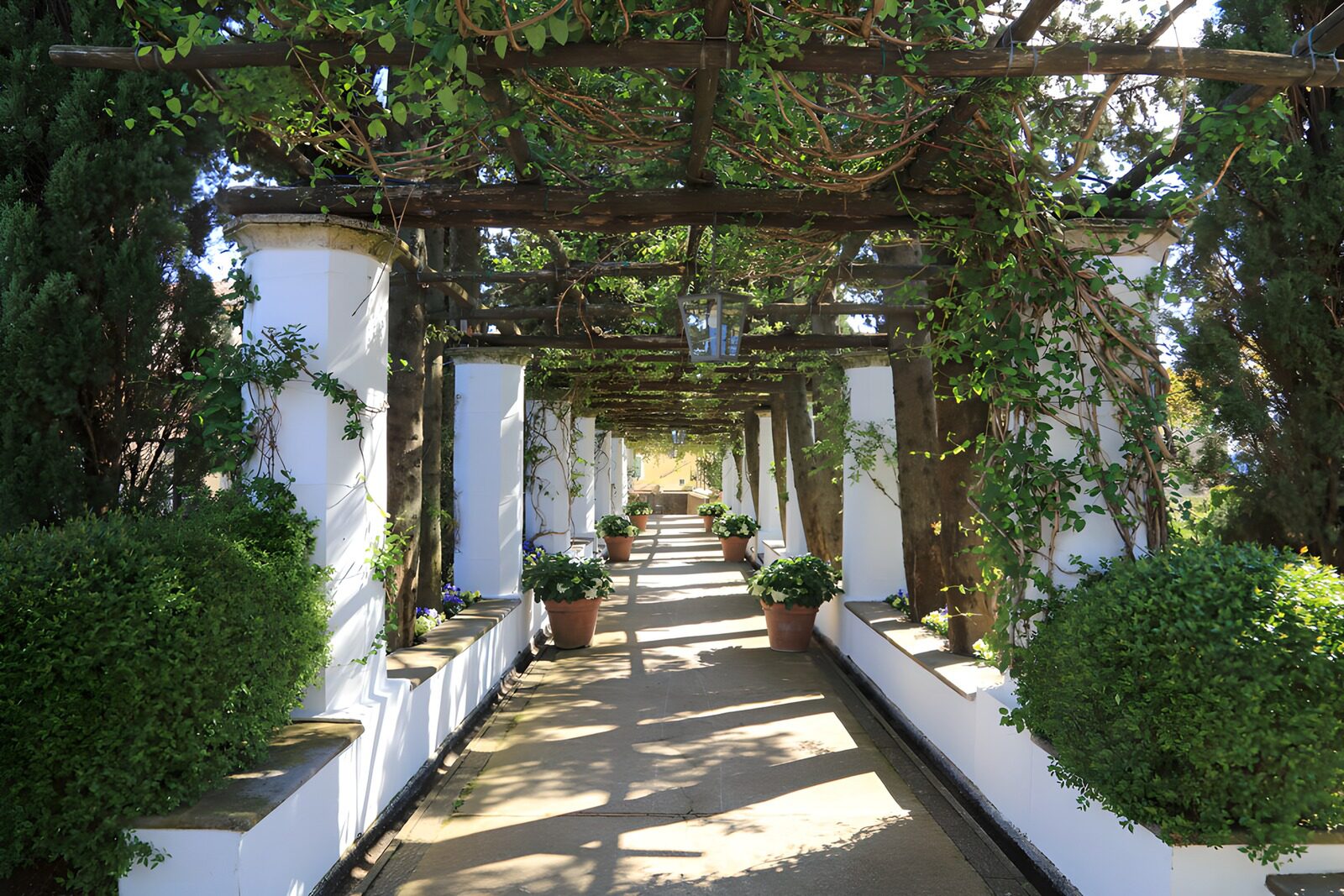 TPFR33982: Allée verdoyante sous une pergola