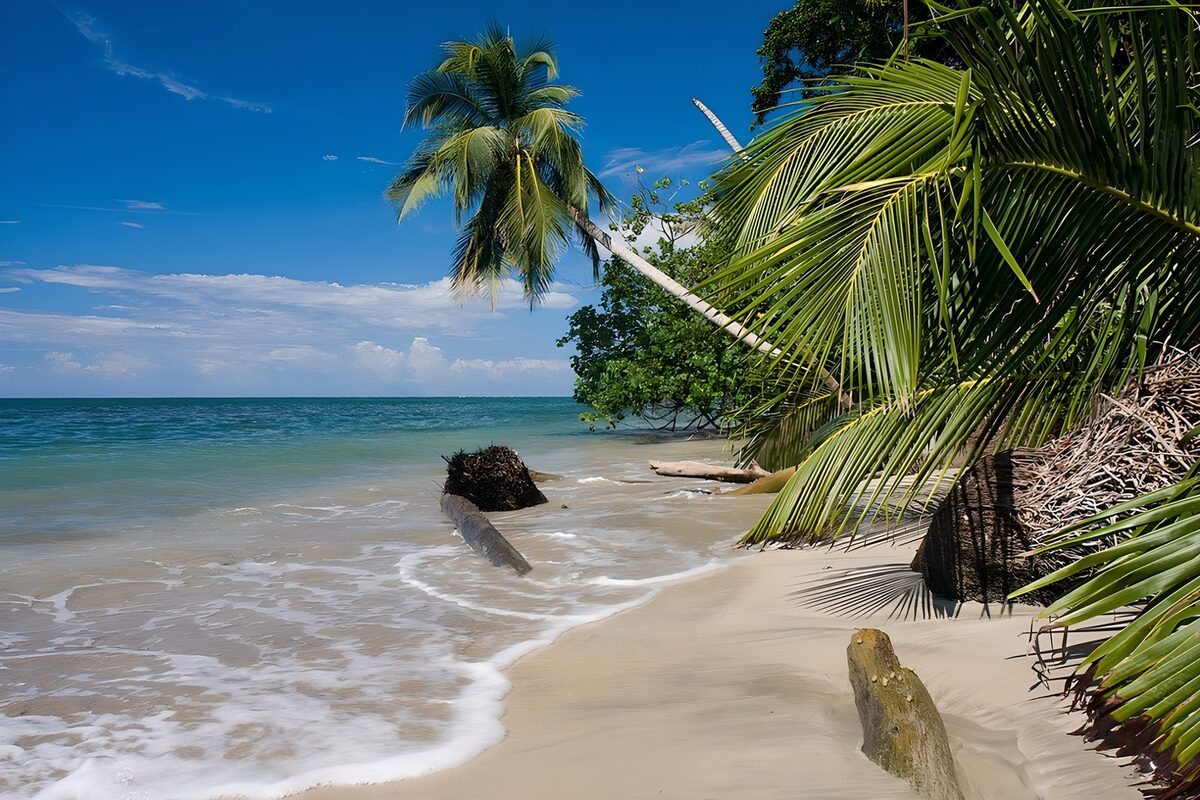 TPFR38932: Plage paradisiaque aux palmiers