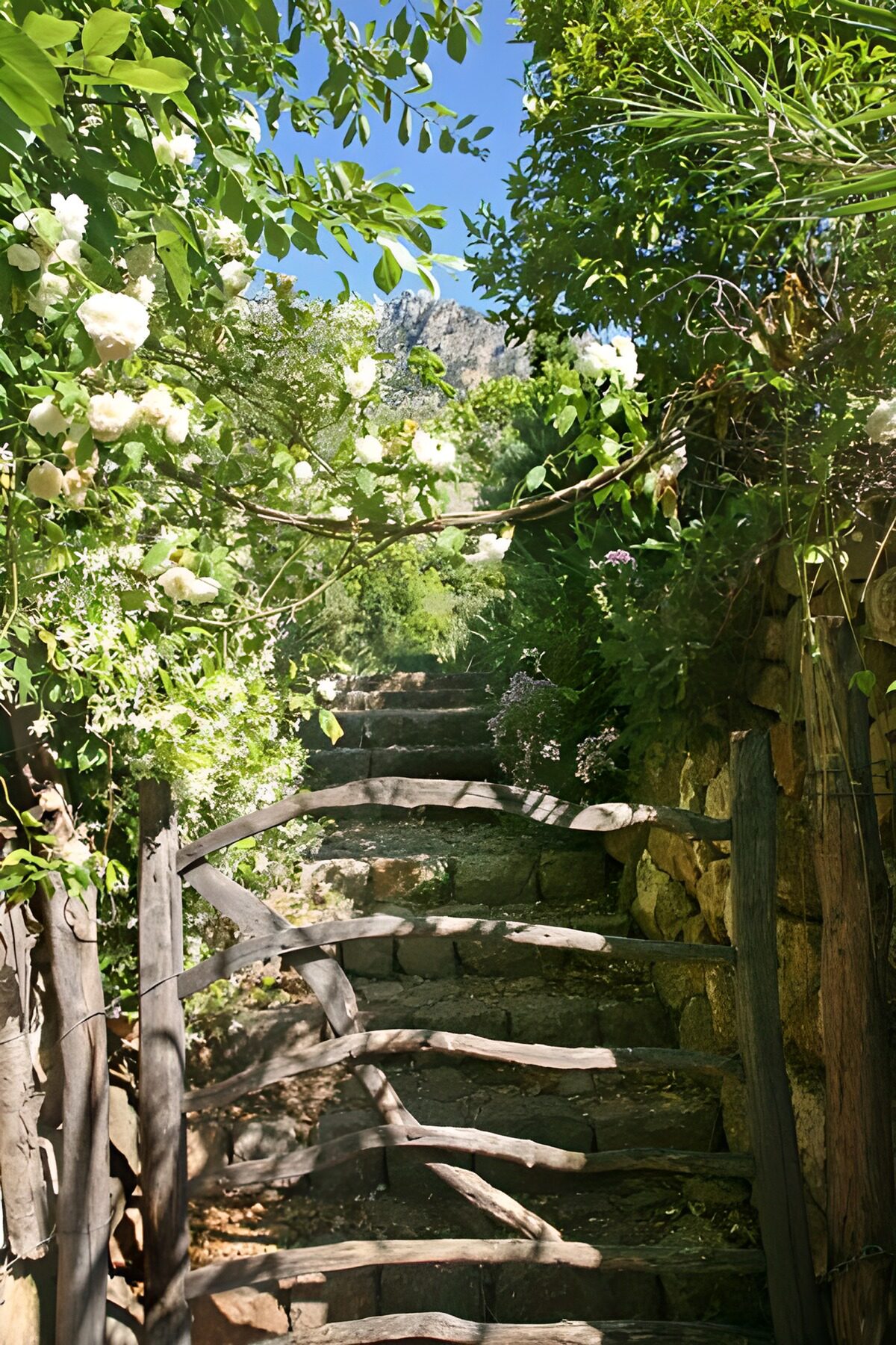 TPFR99803: Grille et escalier noyés dans la végétation