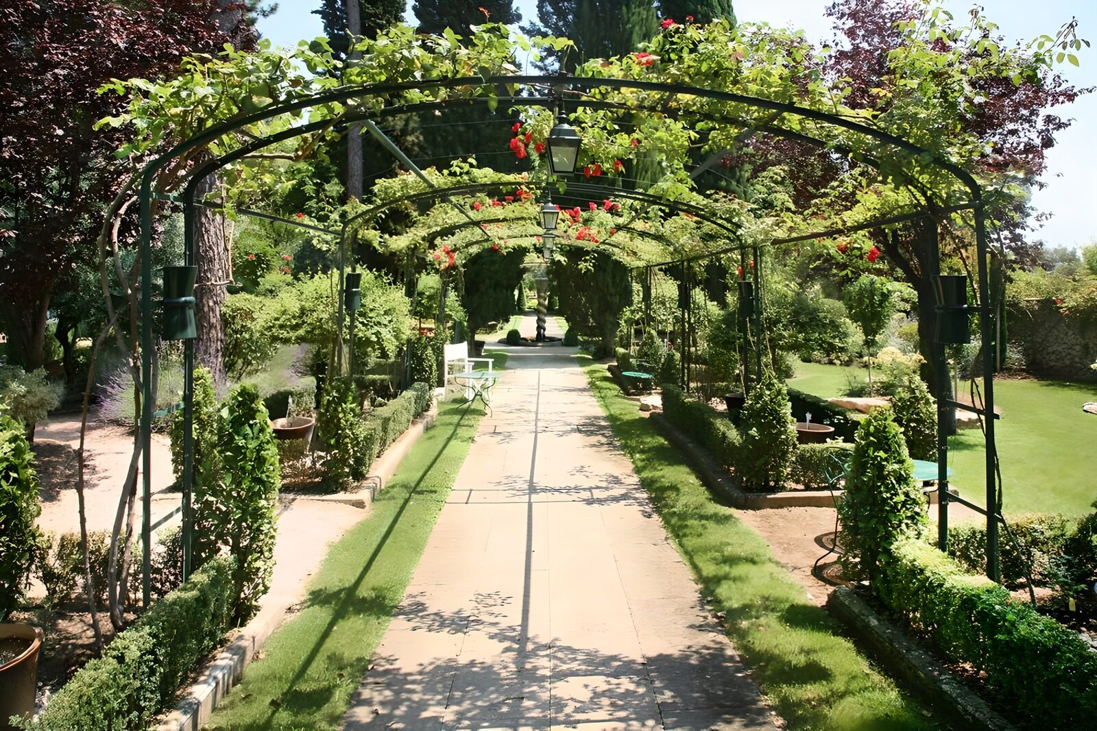 TPFR22121: Arche garnie de roses dans un jardin français version 2