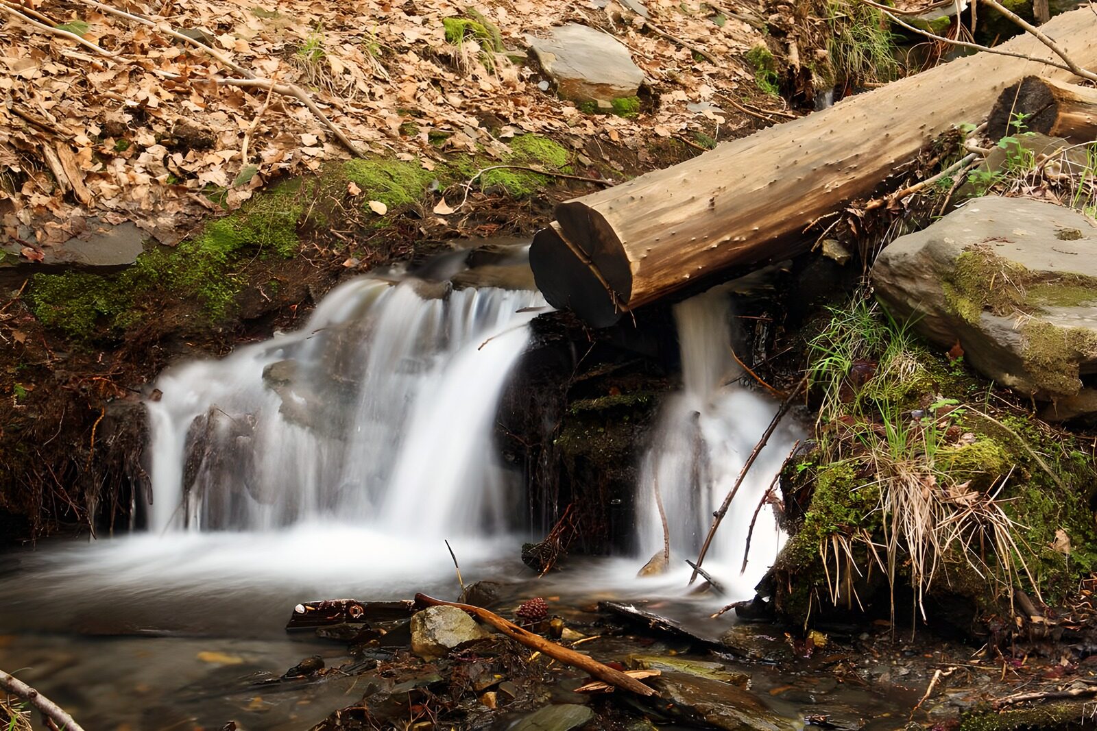 TPFR14464: : Cascade paisible au milieu des bois