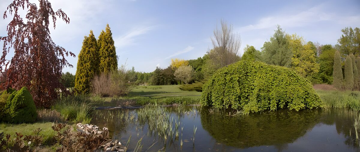 TPFR71723: Jardin paisible au bord de l'eau
