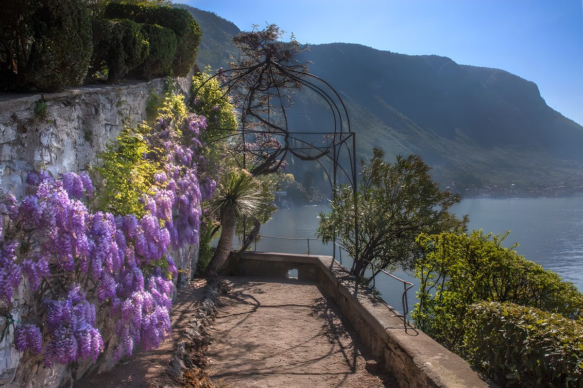 TPFR79127: Jardin fleuri au bord du lac