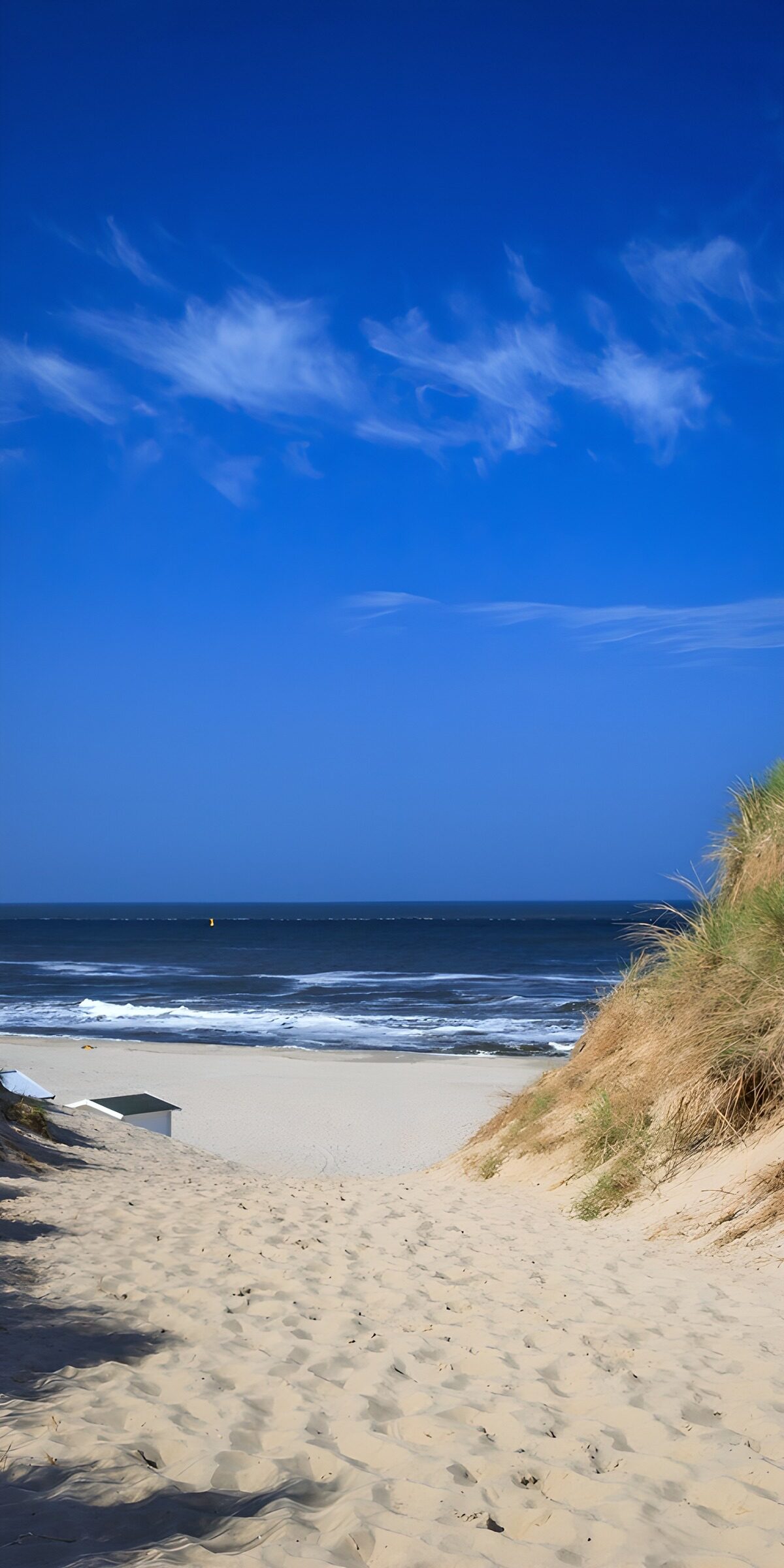 TPFR69341: Chemin vers la plage ensoleillée
