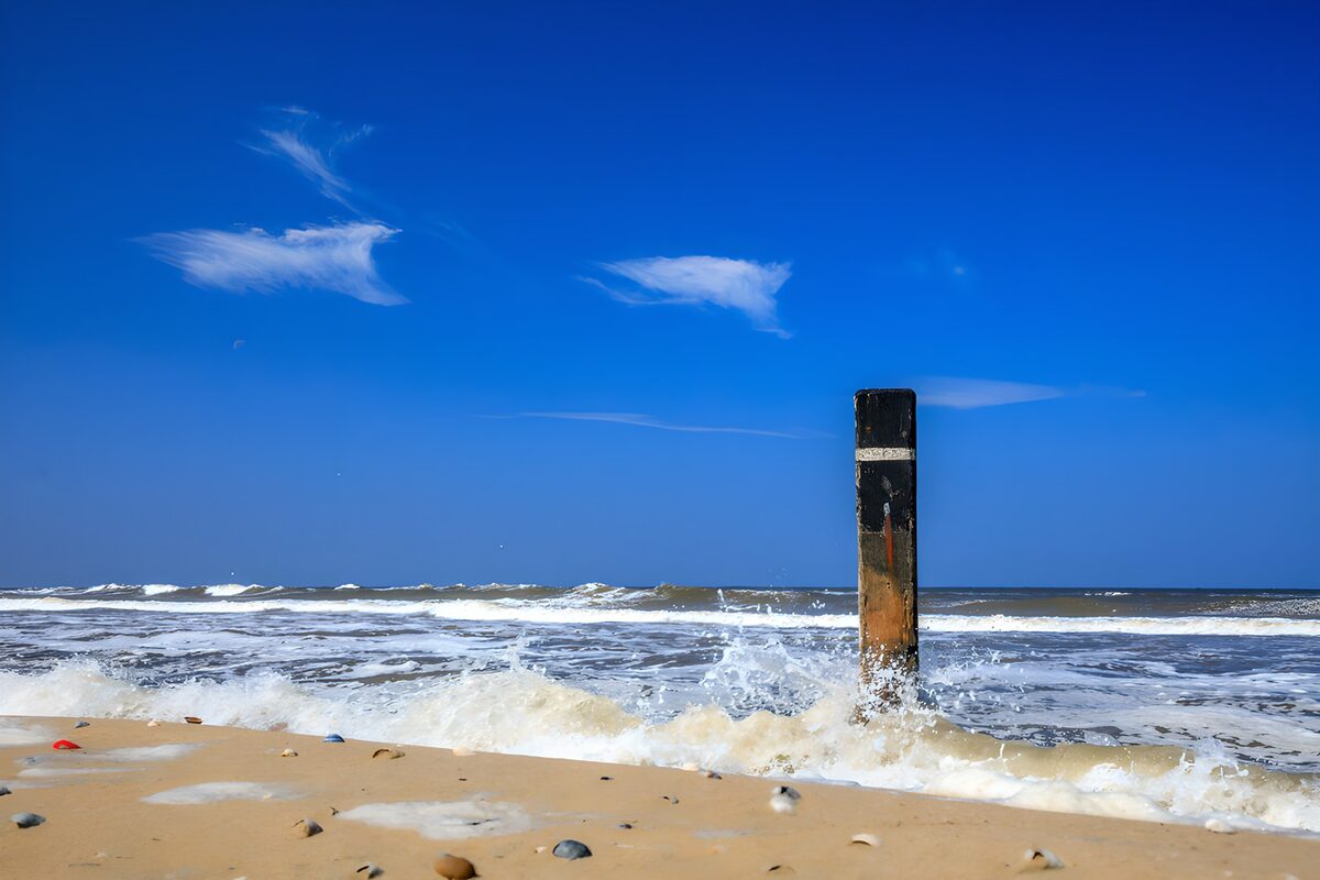 TPFR95618: Poutre au bord de la mer