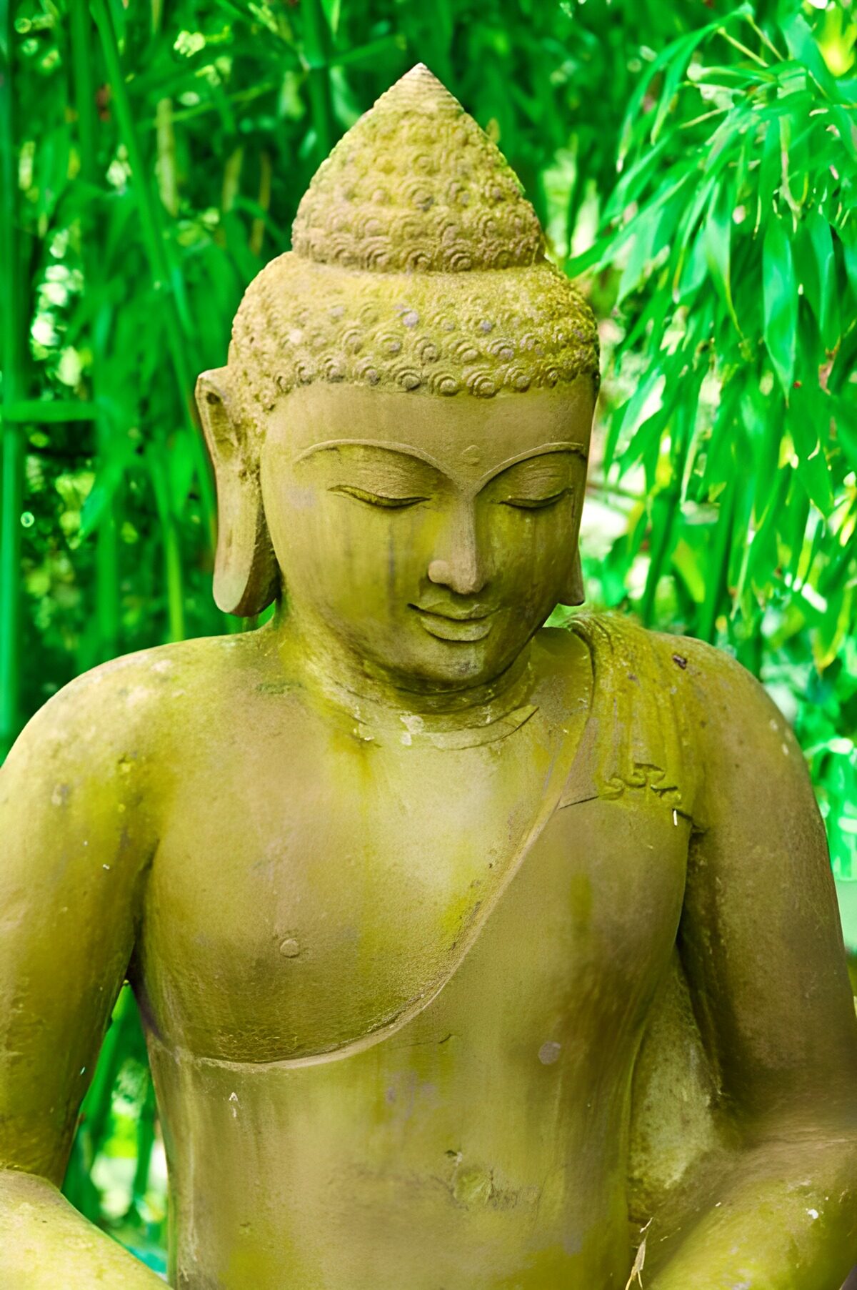 TPFR46335: Bouddha vert