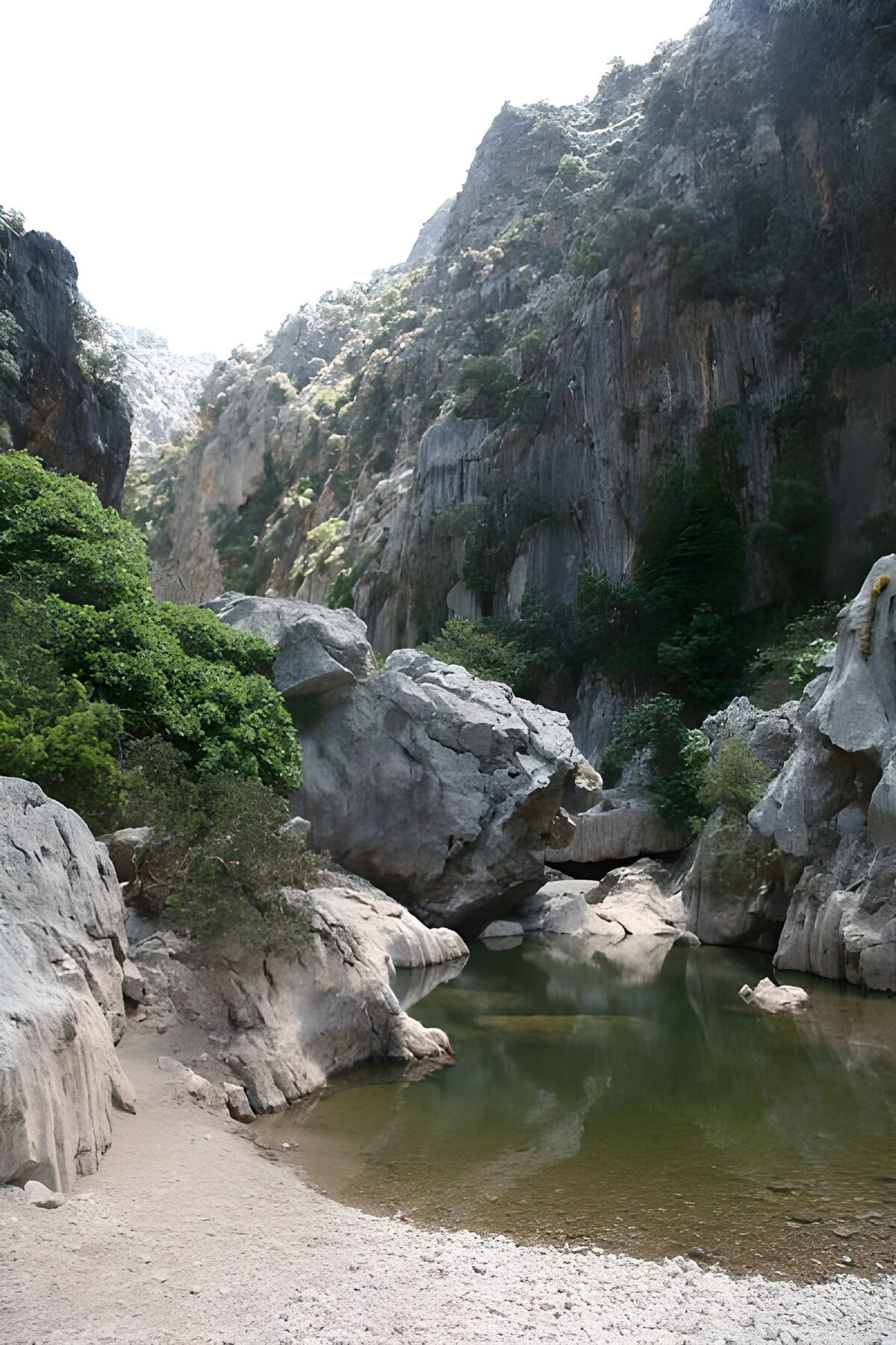 Pièce d'eau encadrée de roches version 4