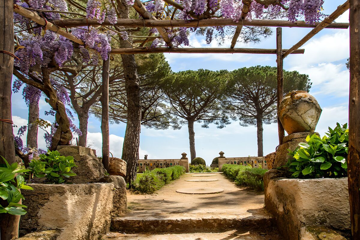 TPFR21852: Jardin de fleurs et de calme