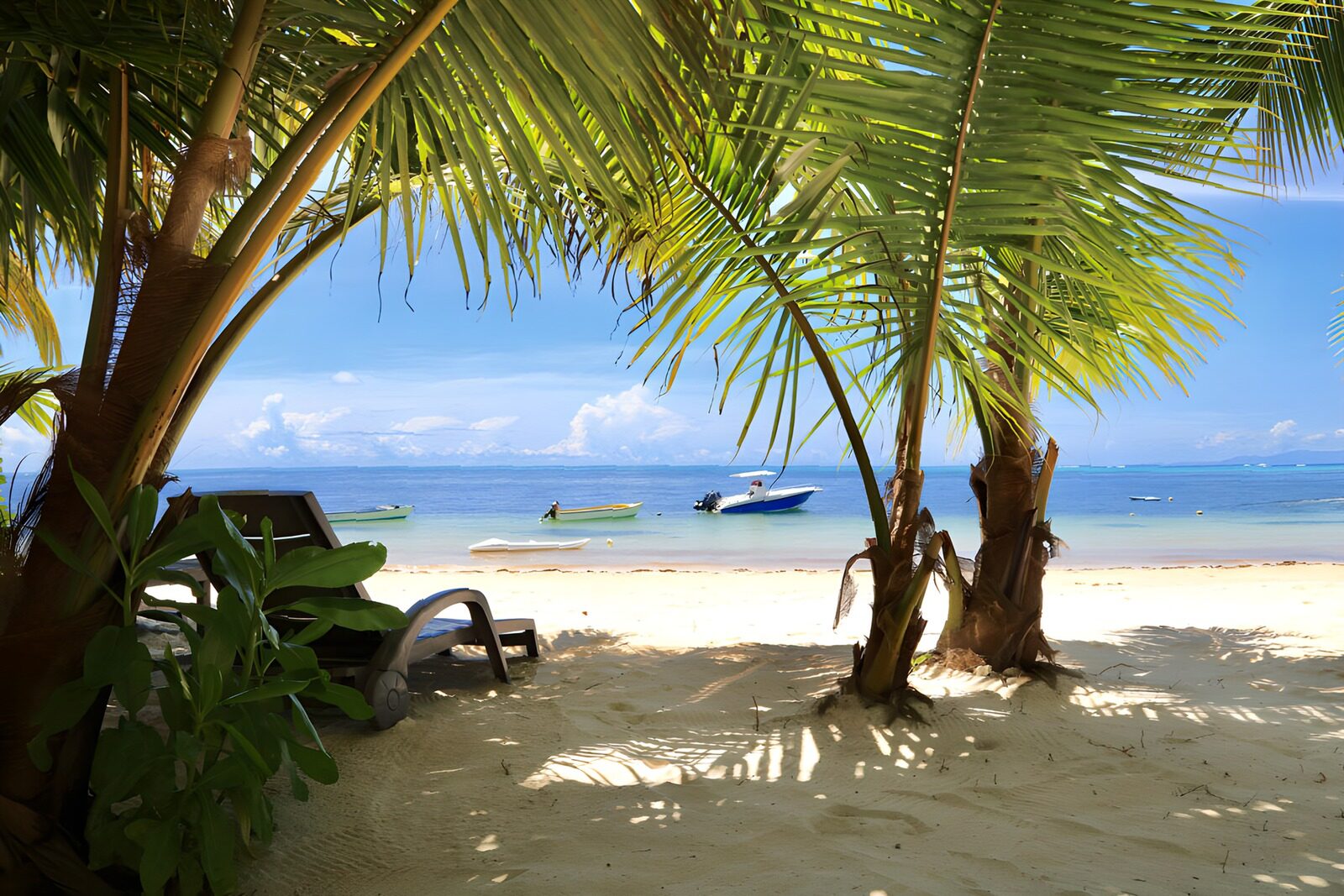 TPFR44489: Plage de rêve sous les palmiers