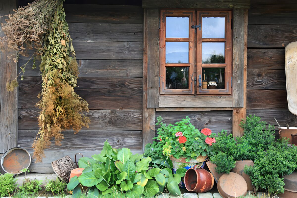 Vieux chalet avec des plantes et des pots