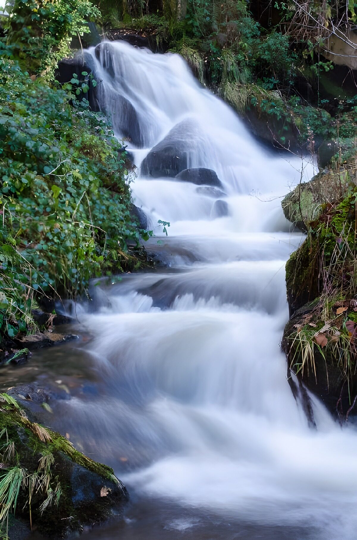 Chute d'eau apaisante en pleine nature