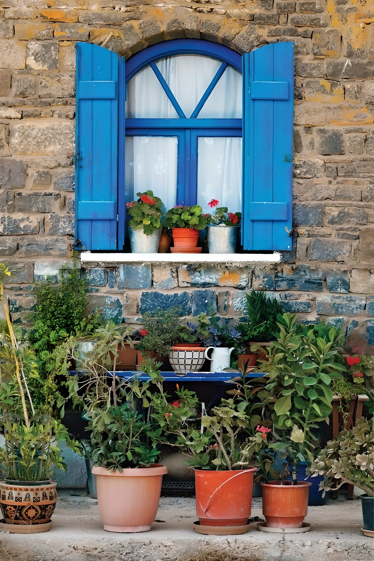 Fenêtre bleu et plantes colorées