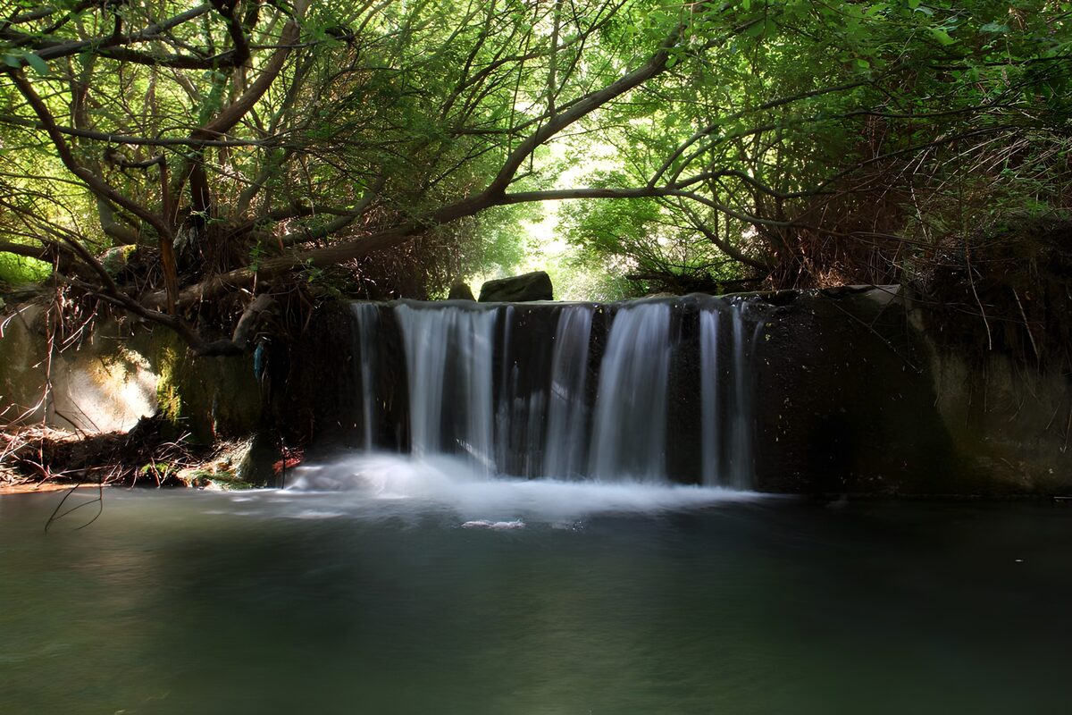 TPFR62162: Cascade tranquille au cœur de la nature