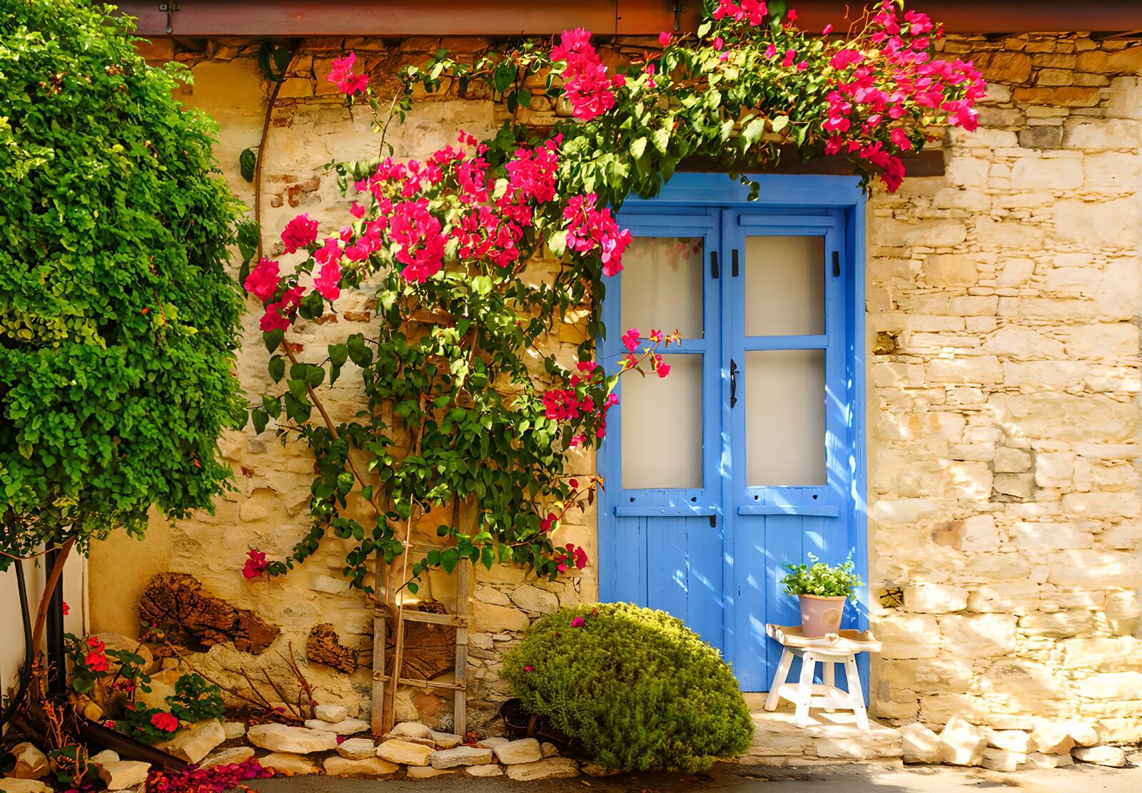 TPFR99820: Belle porte bleue entourée de fleurs