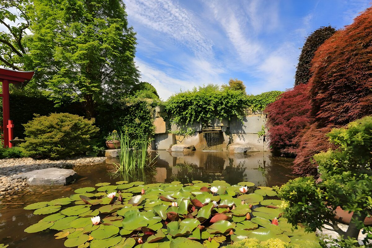 TPFR63556: Jardin paisible avec nénuphars