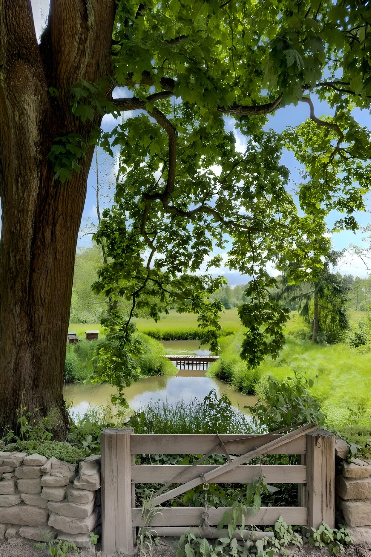 TPFR43539: Une passerelle vers la nature
