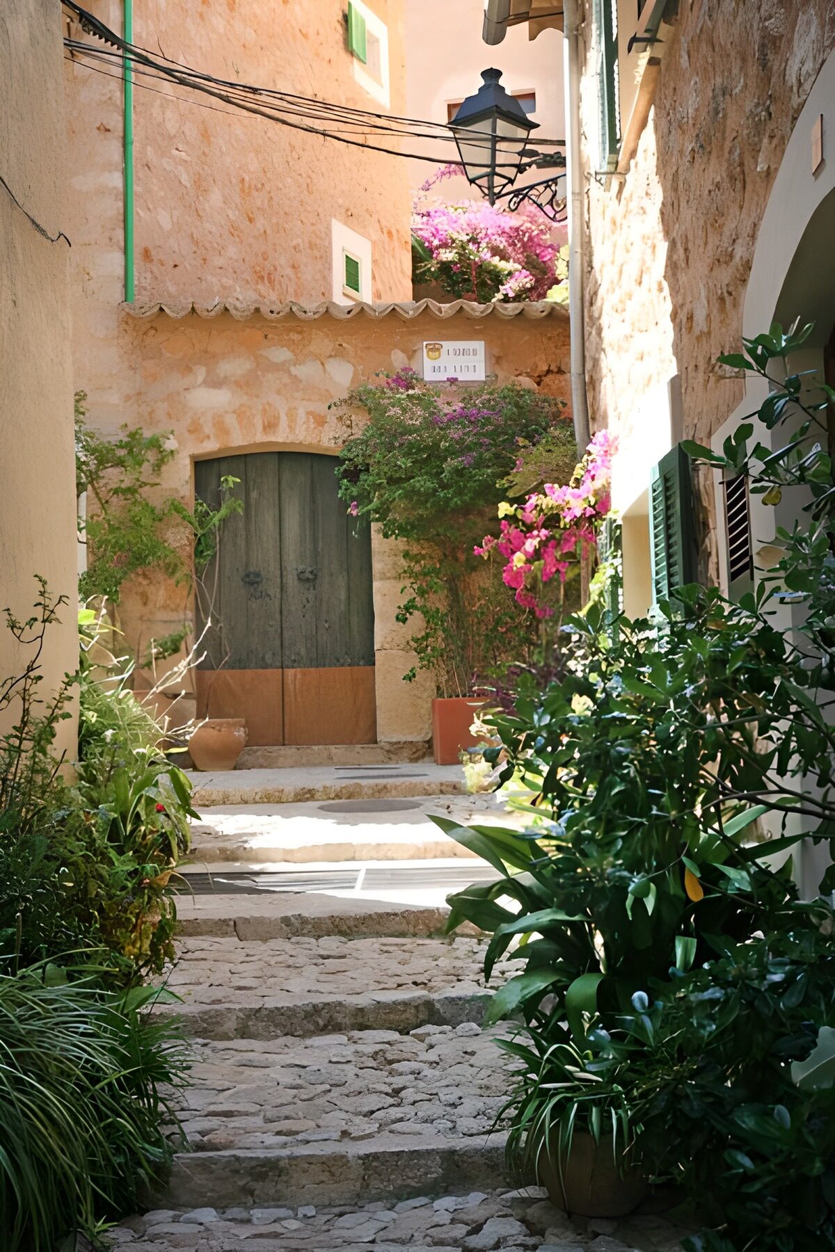 TPFR82099: Escalier encadré de plantes et de fleurs 3