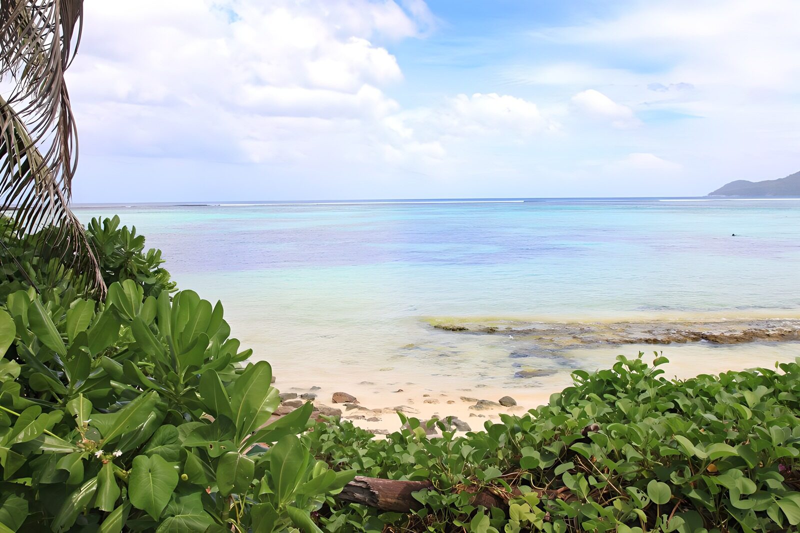 TPFR14179: Plage paisible aux eaux turquoise