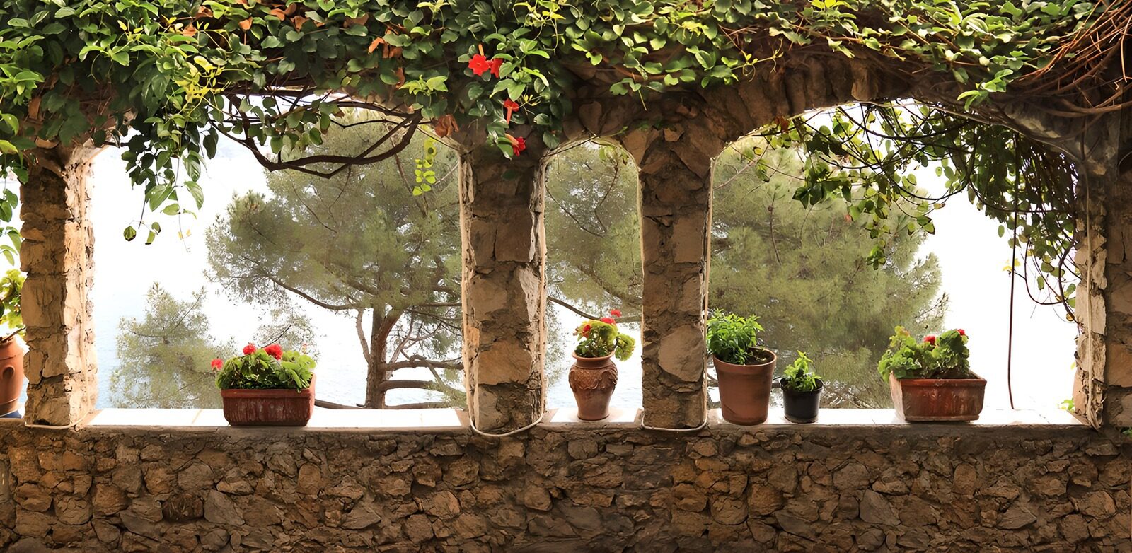 TPFR26938: Vue sur la mer depuis un jardin