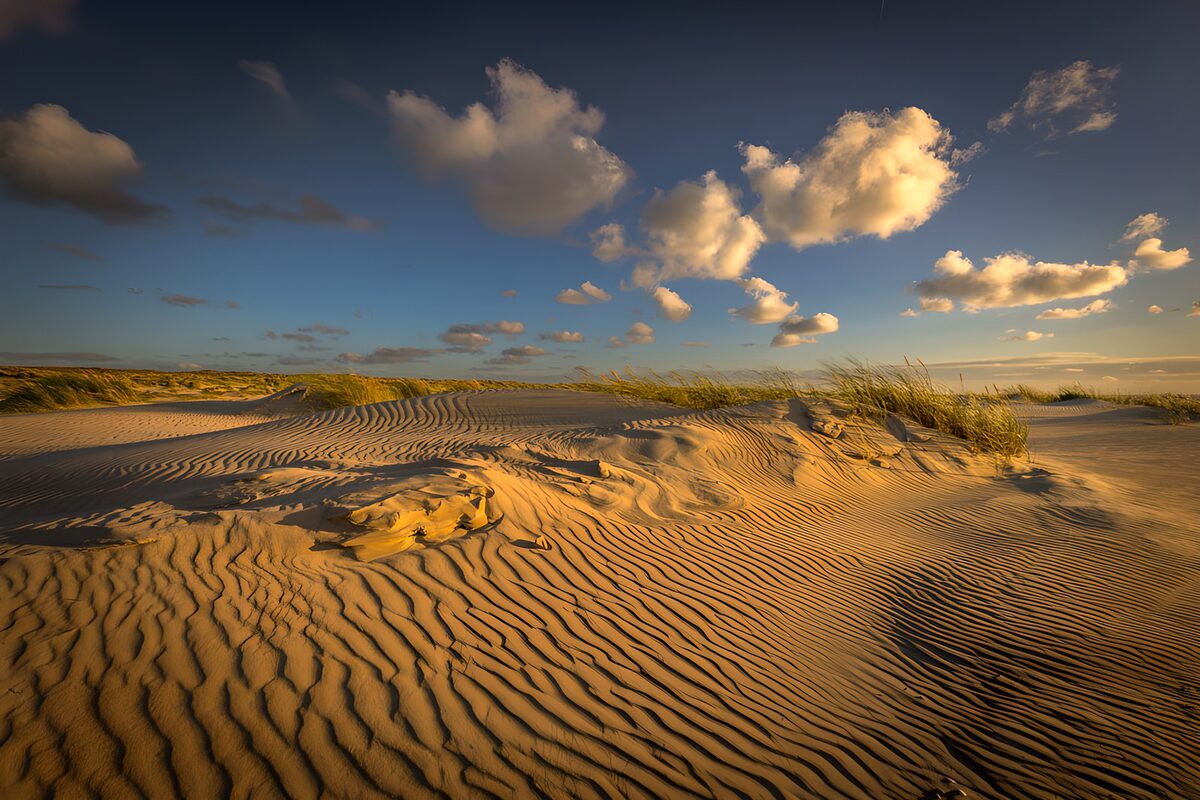 Échos dorés des dunes au crépuscule