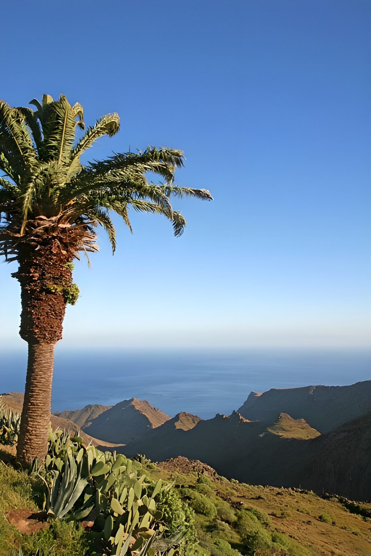 TPFR91936: La Gomera 27