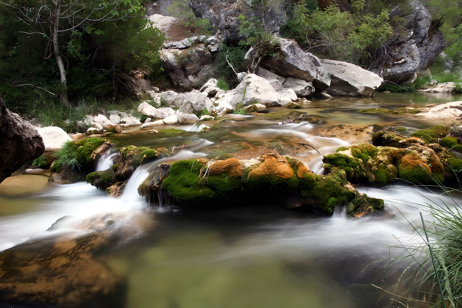 TPFR55072: Ruisseau paisible au milieu de la nature