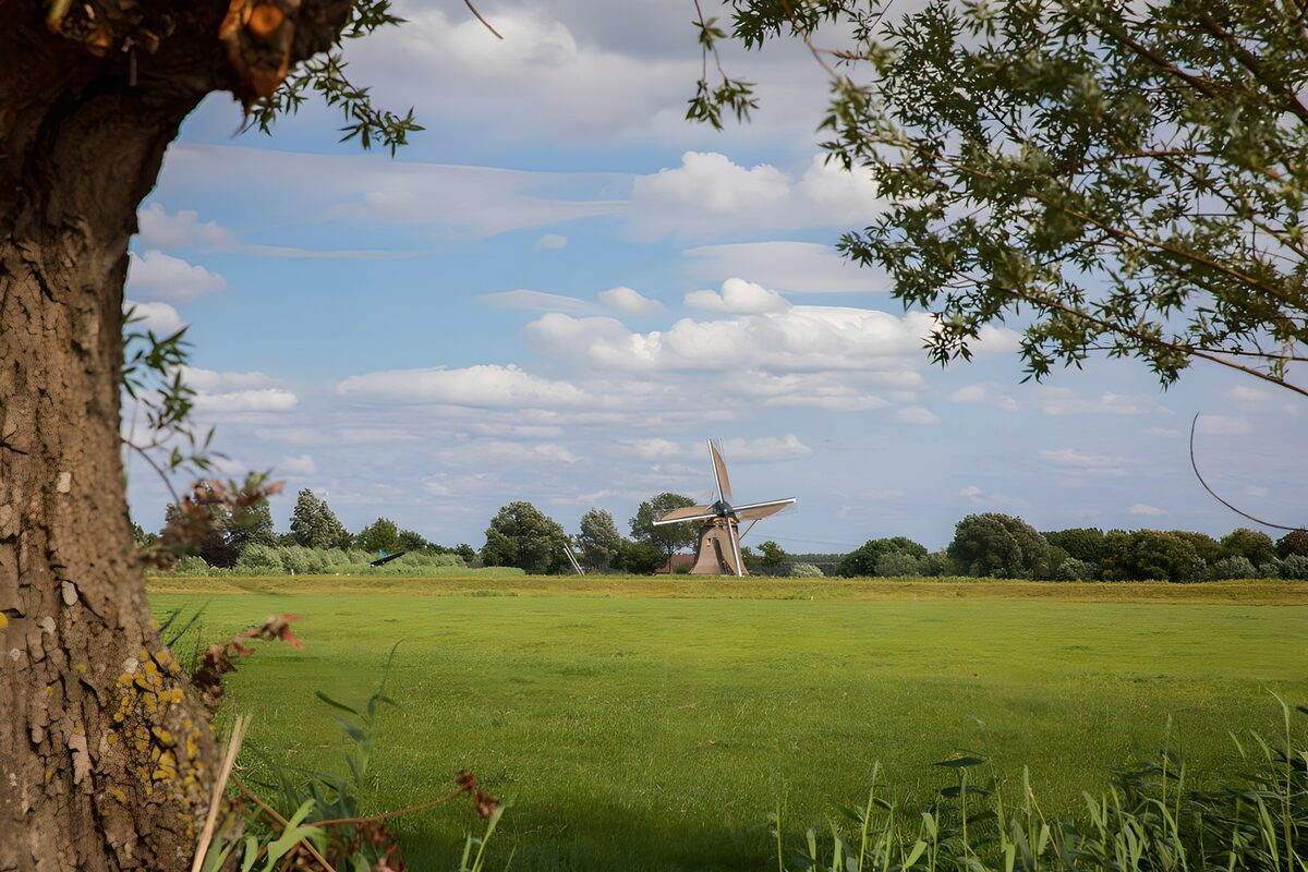 TPFR13271: Un Moulin dans un Champ Verdoyant