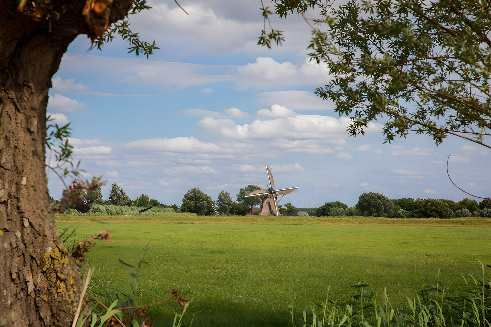 TPFR13271: Un Moulin dans un Champ Verdoyant