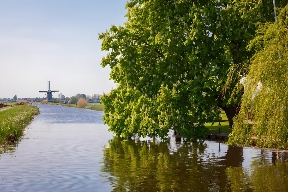 TPFR55877: Paysage paisible avec un moulin à vent