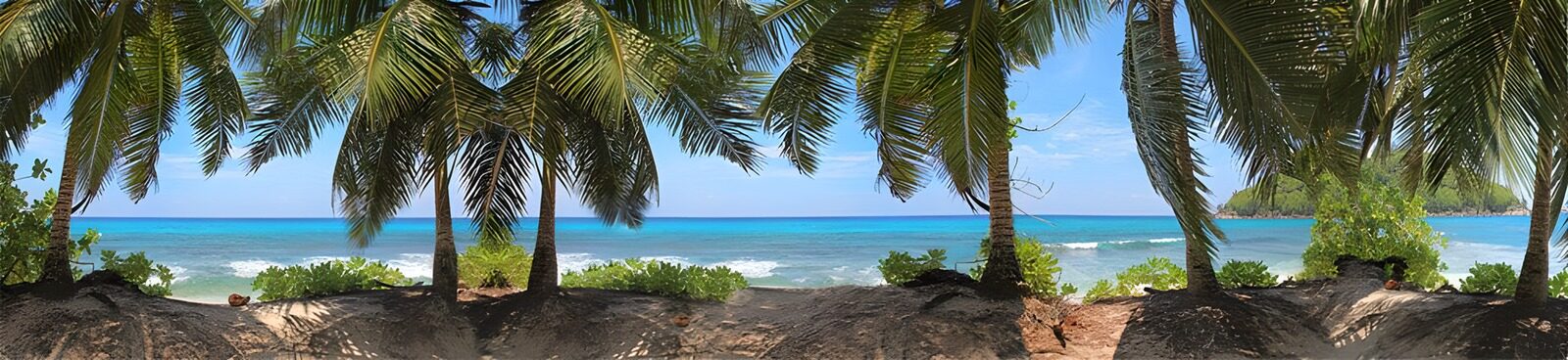 TPFR81391: Plage paisible sous les palmiers