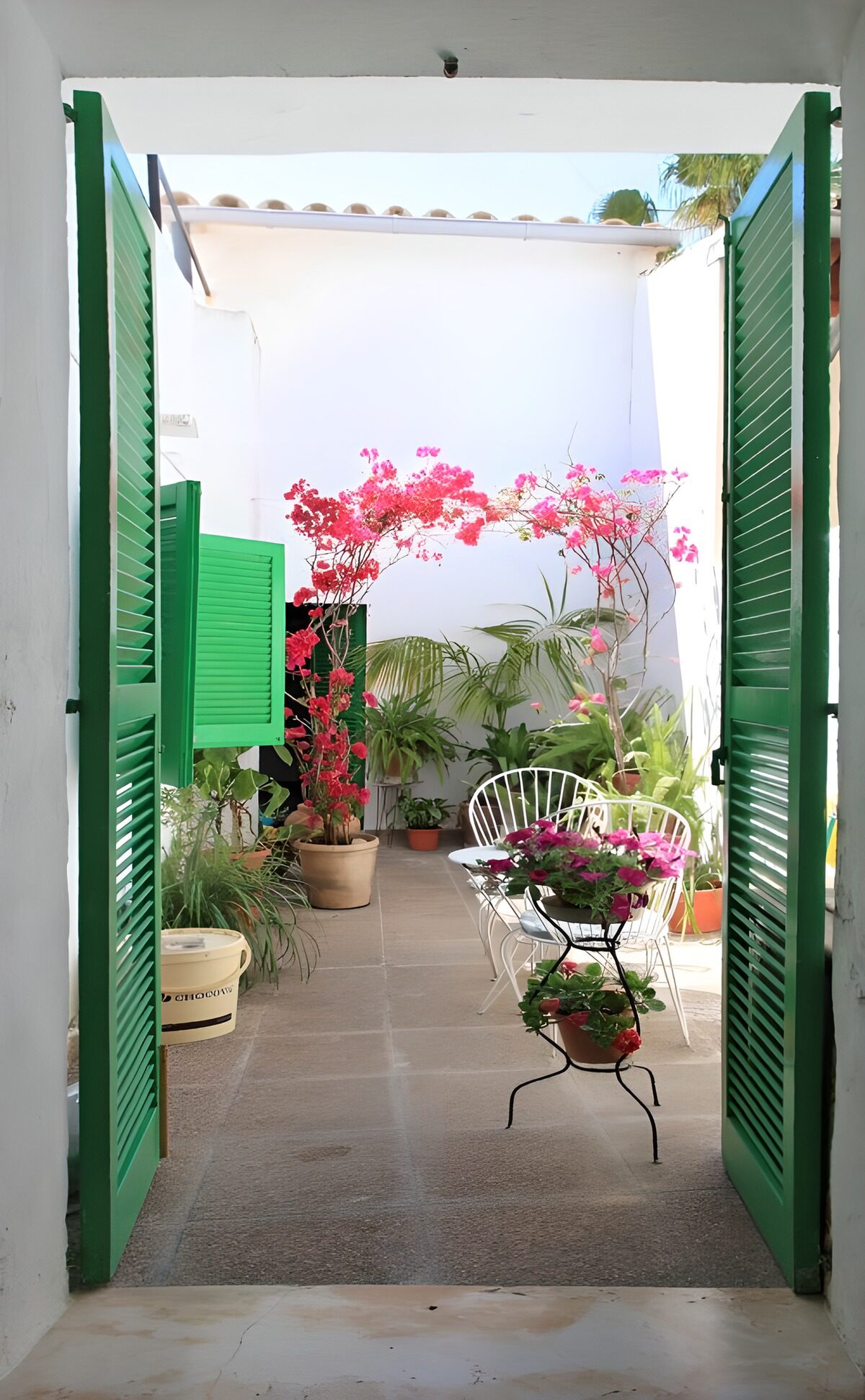 Jardin de fleurs ensoleillé
