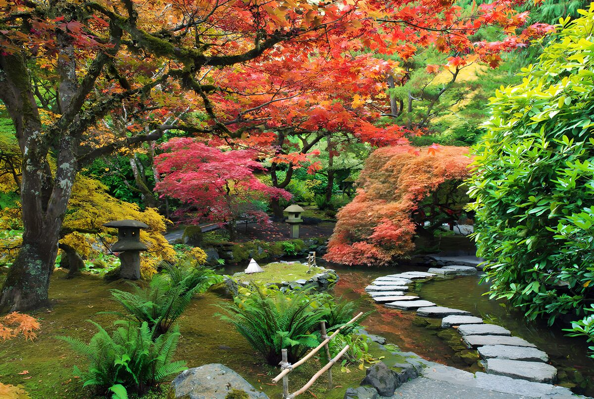 Jardin paisible aux couleurs automnales