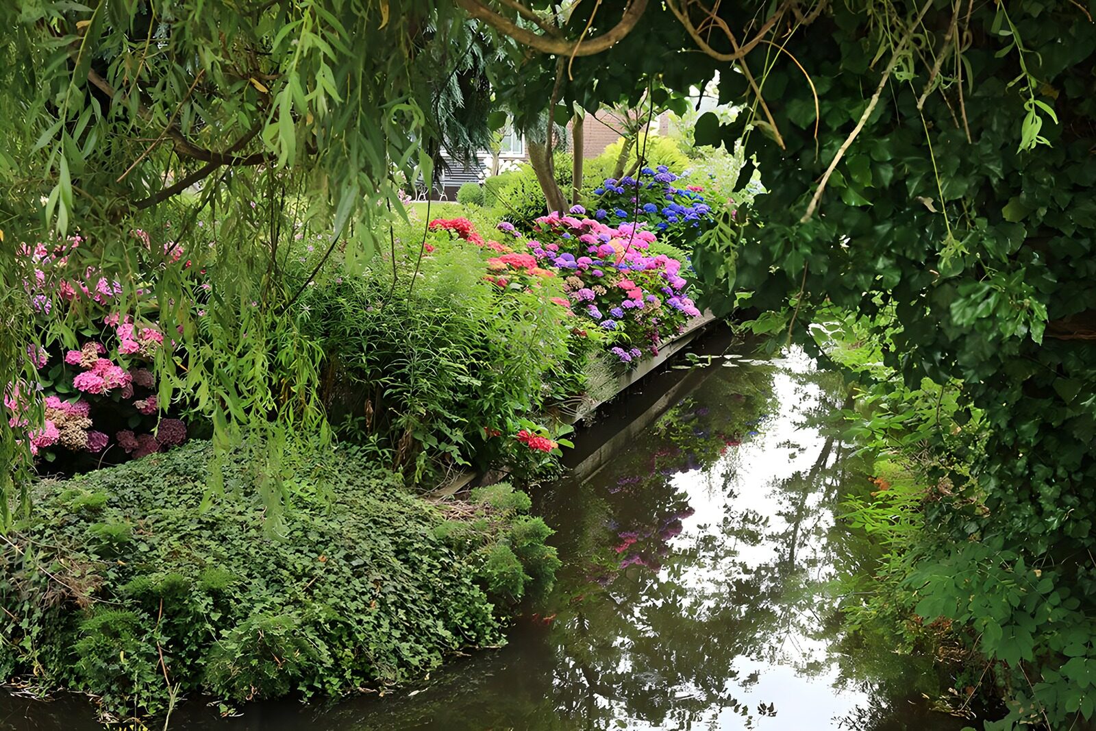 TPFR11366: Jardin paisible avec un ruisseau