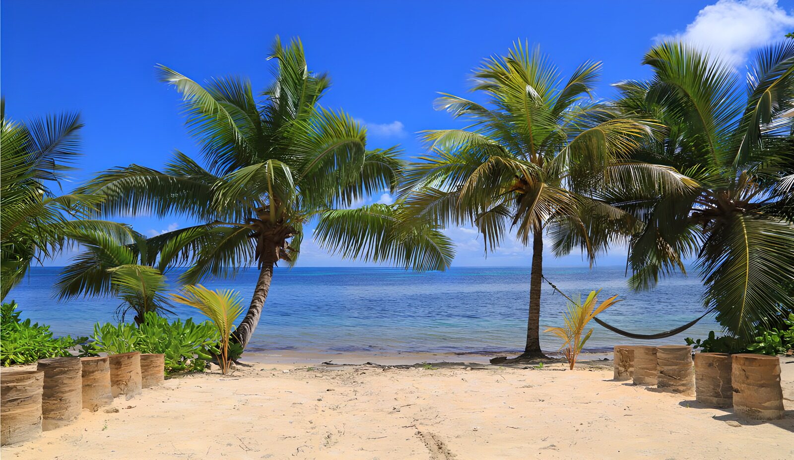 TPFR44290: Plage paradisiaque sous les palmiers