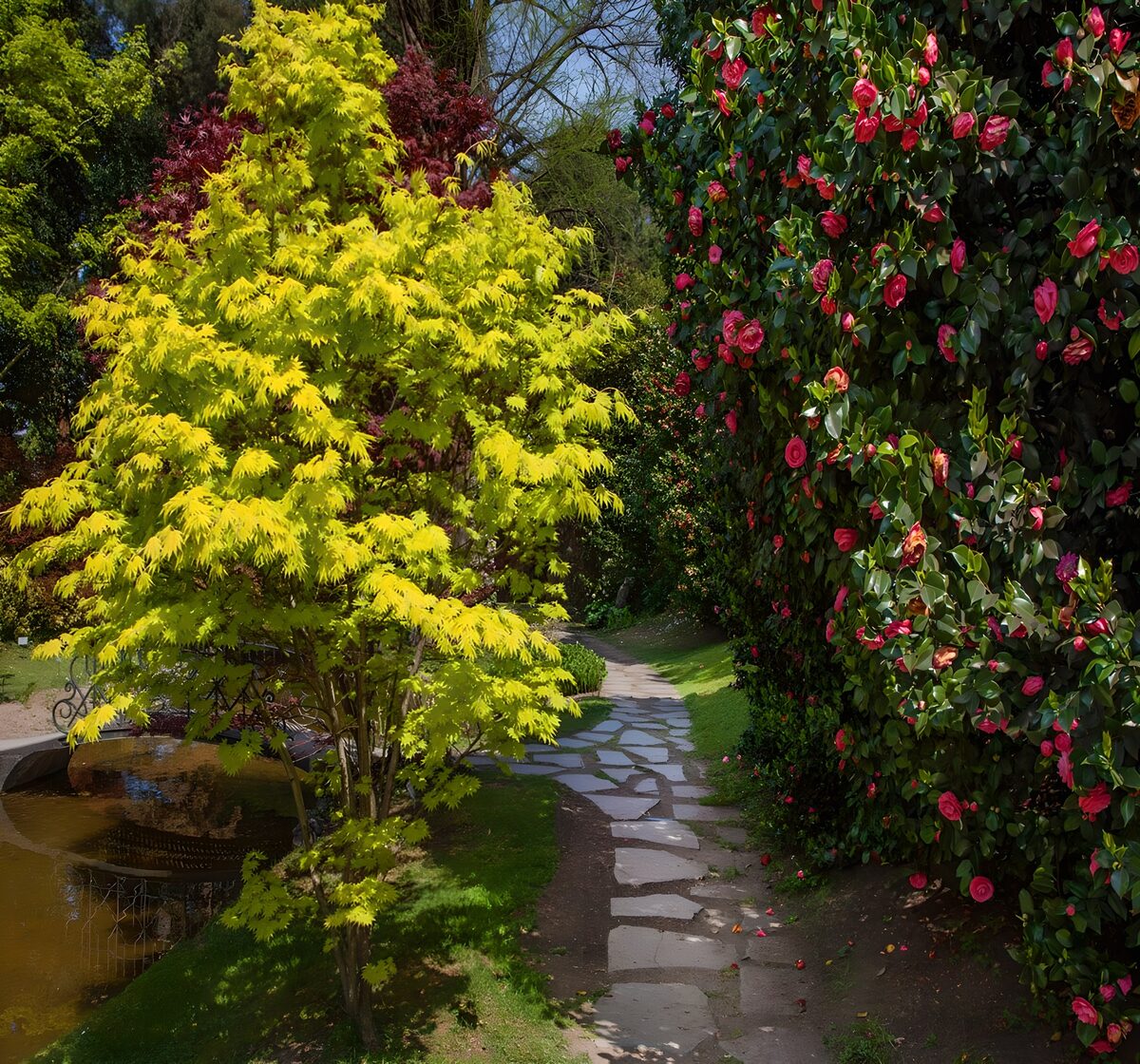 Jardin enchanteur avec des couleurs vives