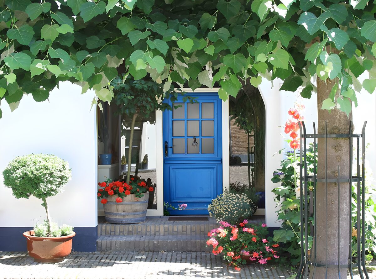 Maison à la porte bleue vignes fleurs et plantes diverses