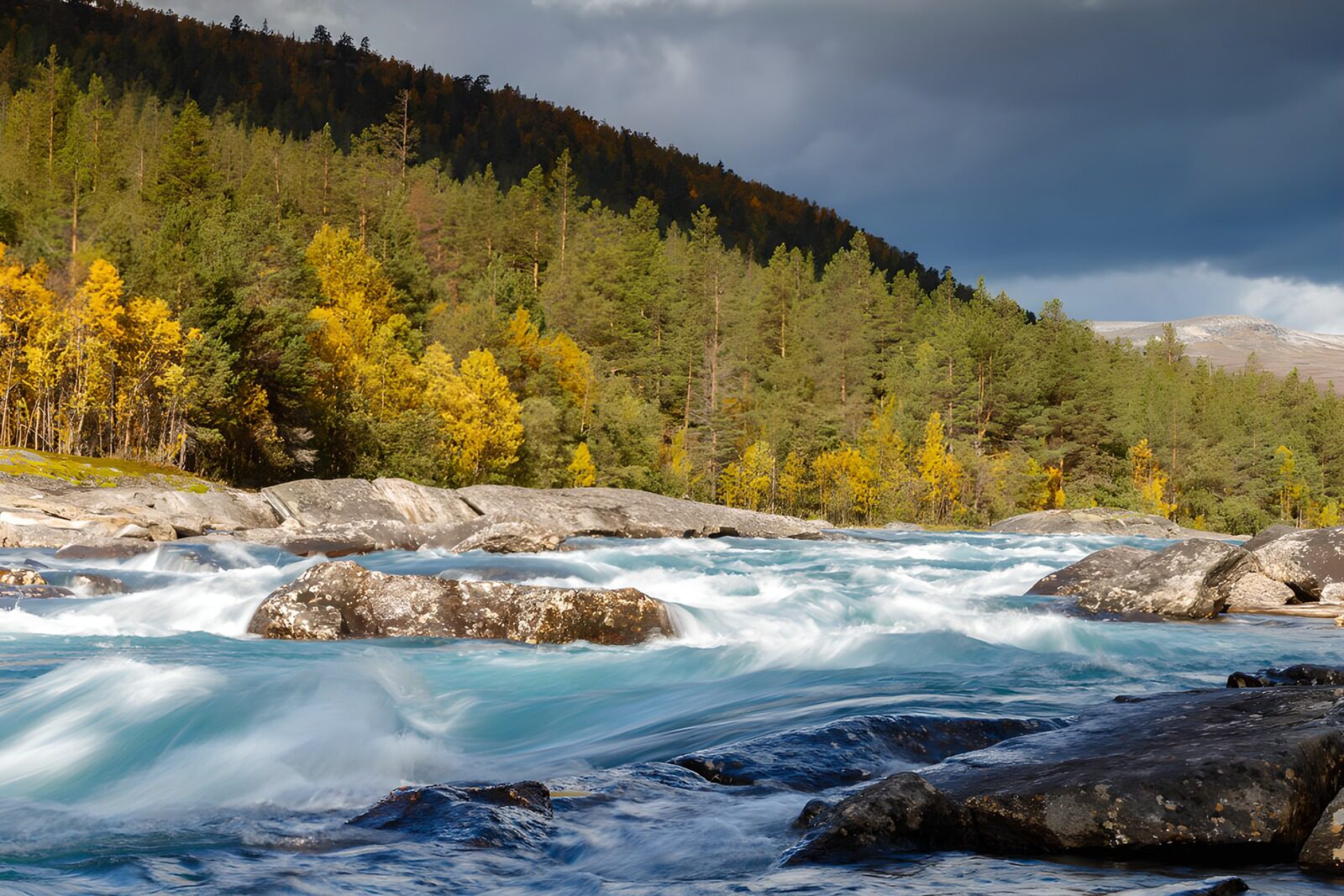 TPFR92262: Rivière paisible au cœur de la nature