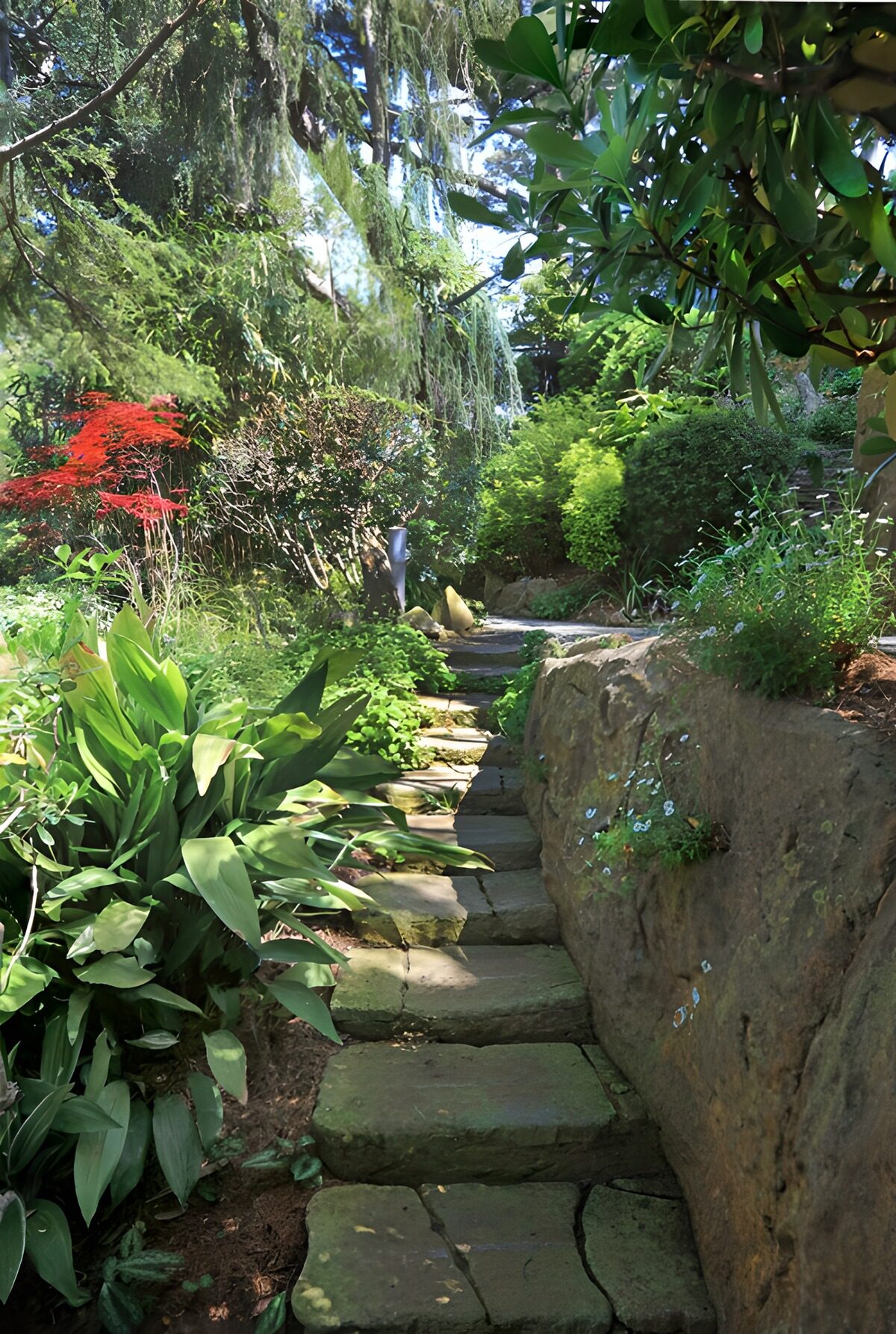 Sentier paisible dans un jardin verdoyant