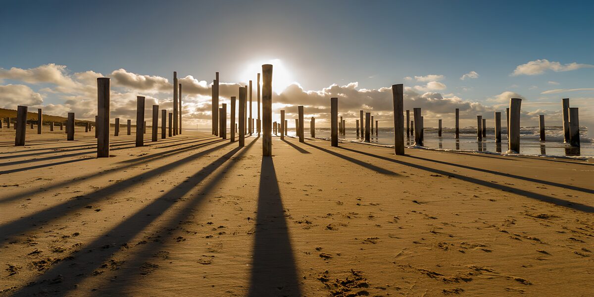 TPFR52556: Ombres des poteaux au coucher de soleil