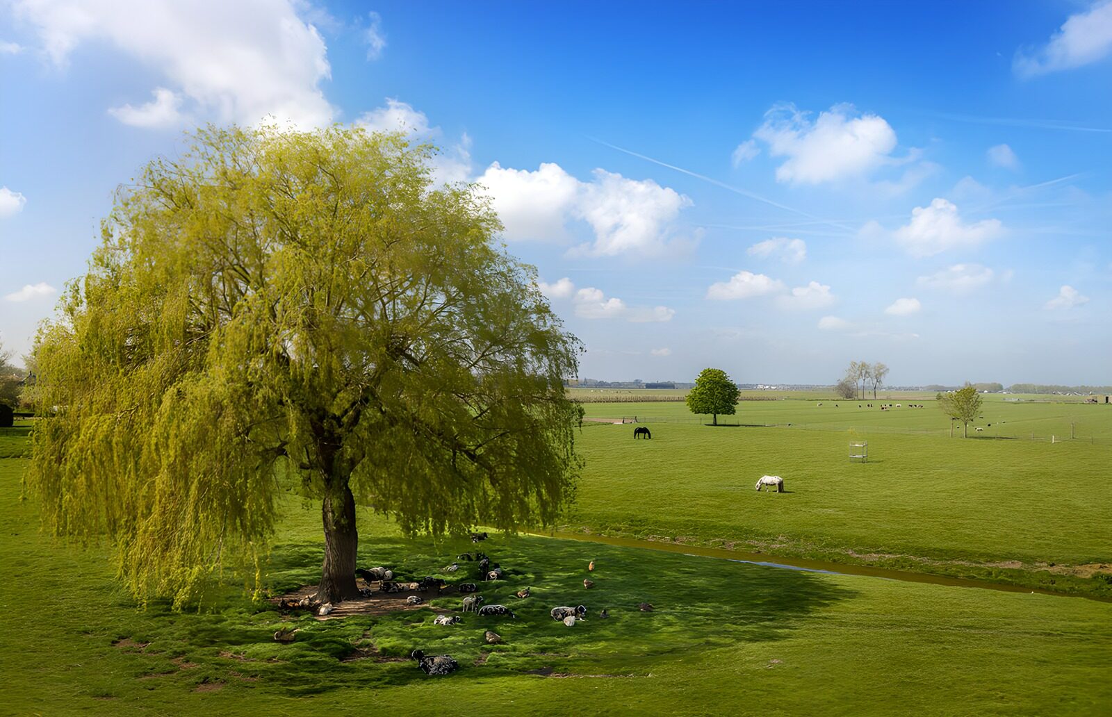 TPFR21751: Paysage pastoral sous un ciel bleu