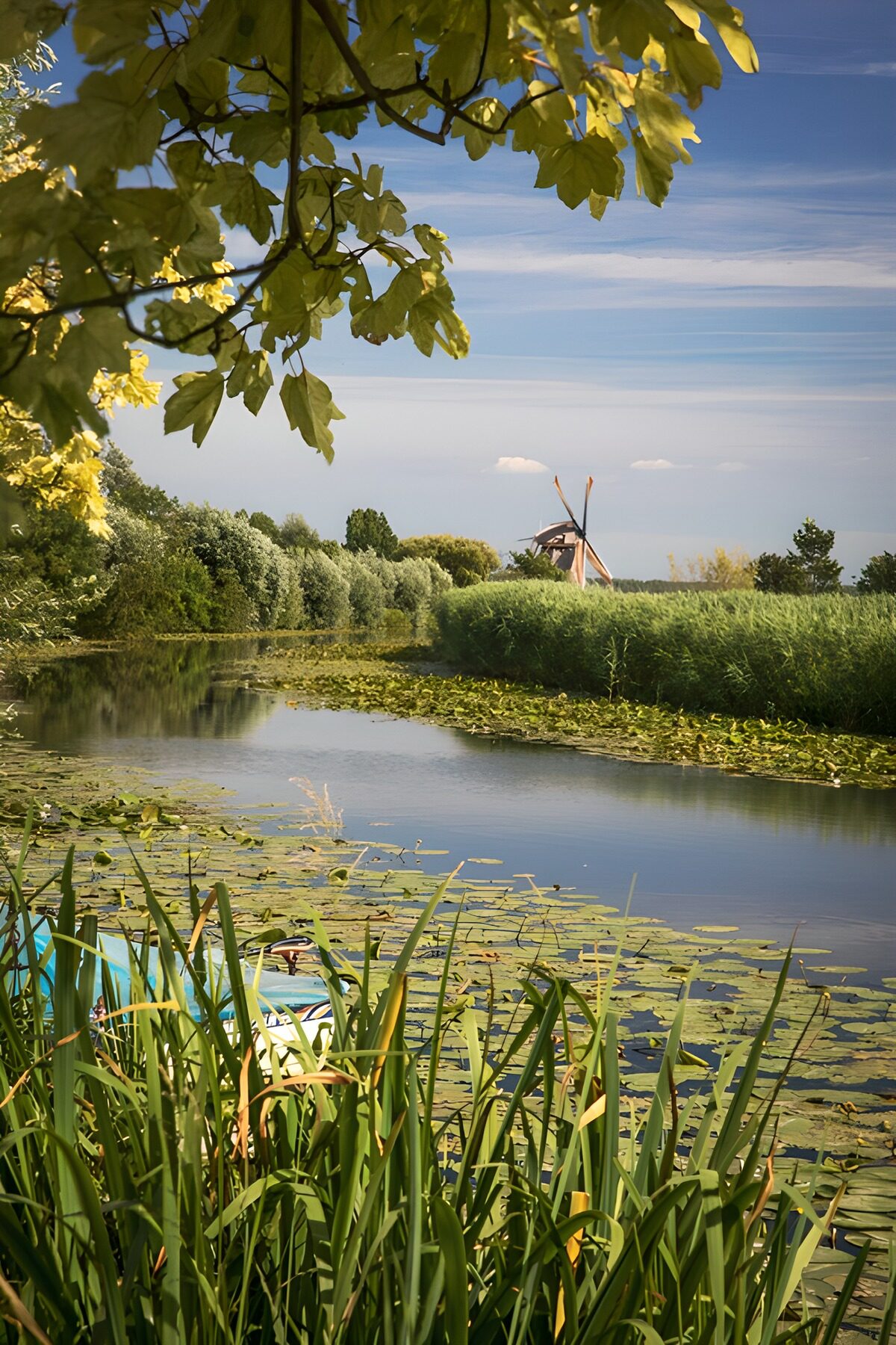 TPFR91175: Moulins et nature paisible