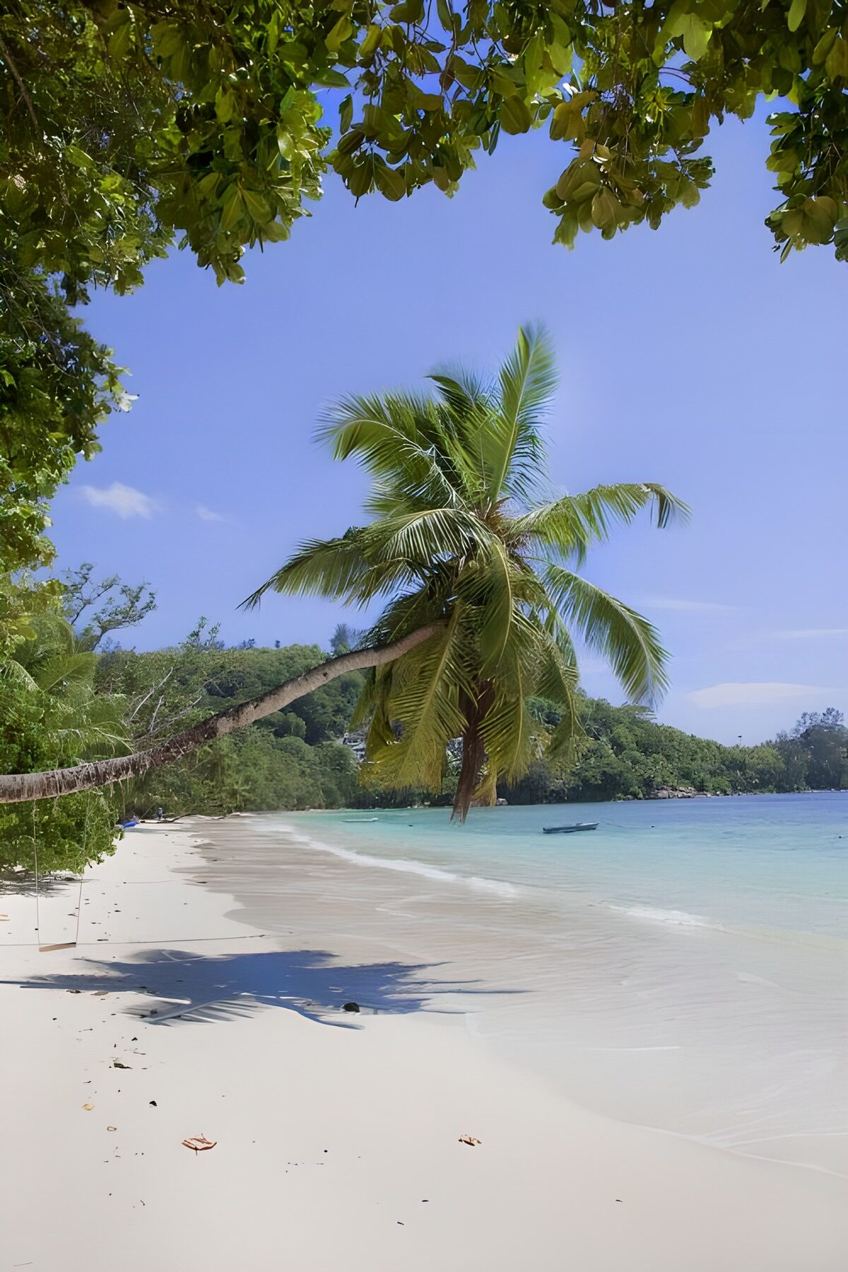 TPFR96234: Plage paradisiaque sous le soleil
