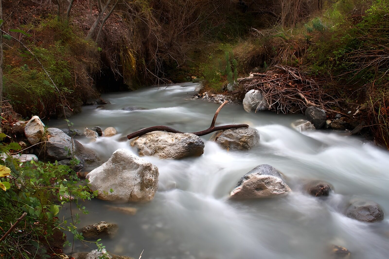 TPFR10172: Rivière paisible au milieu des pierres