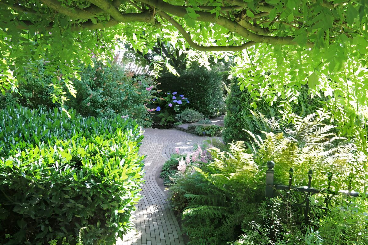 TPFR34359: Jardins paisibles sous le feuillage