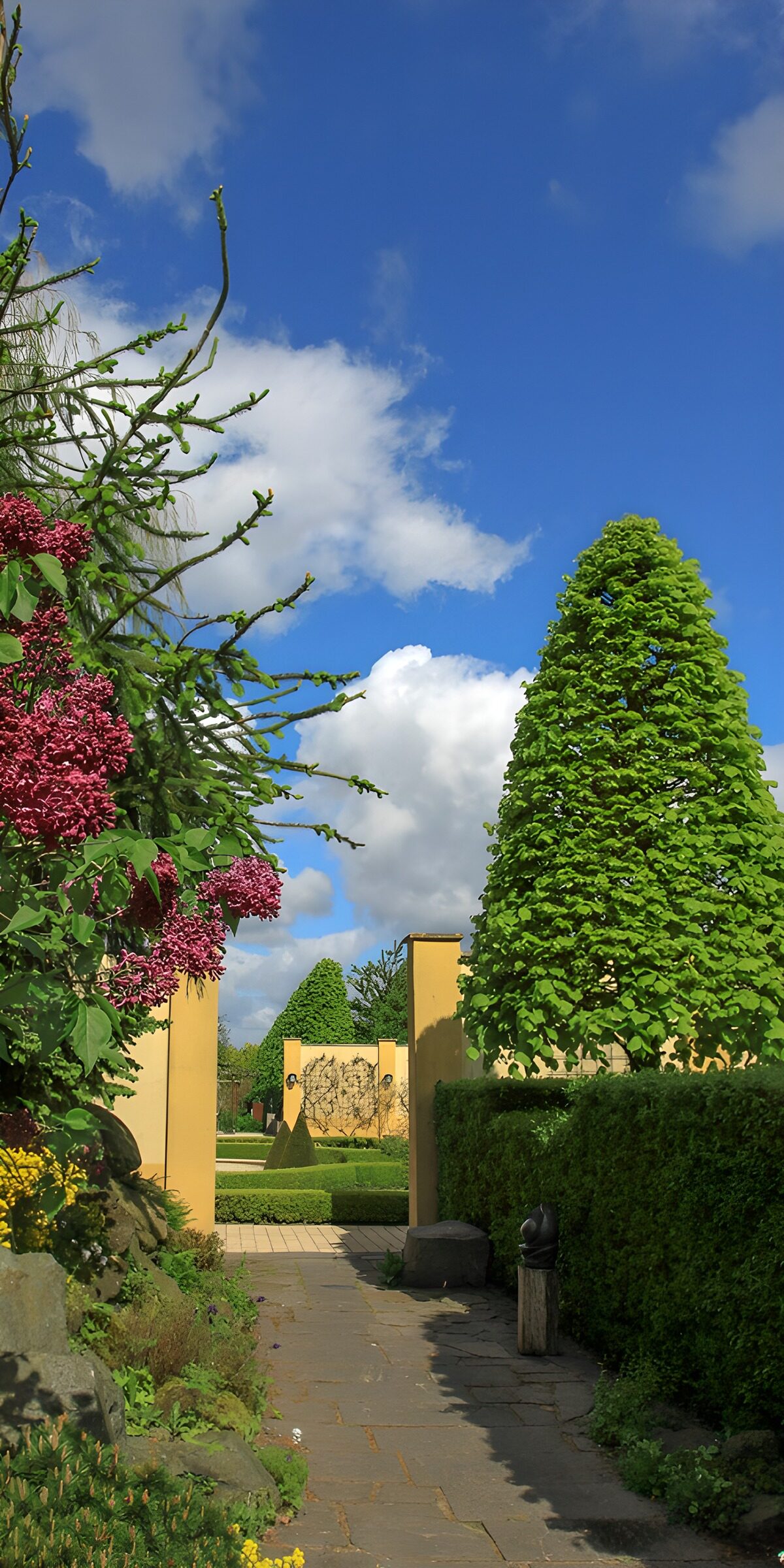 TPFR39027: Jardin paisible et coloré