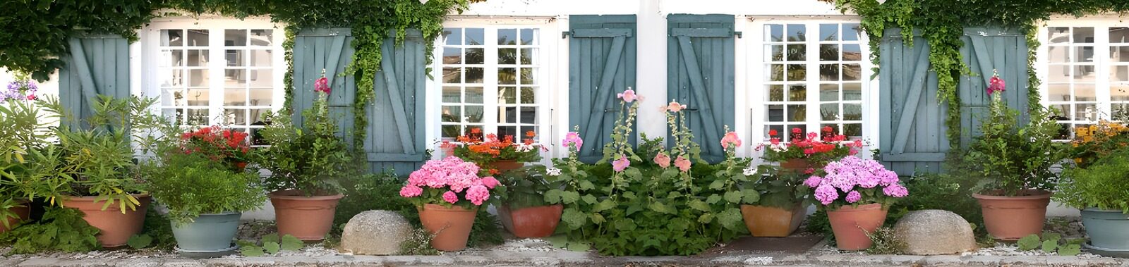 TPFR60196: Maison fleurie et fenêtres colorées