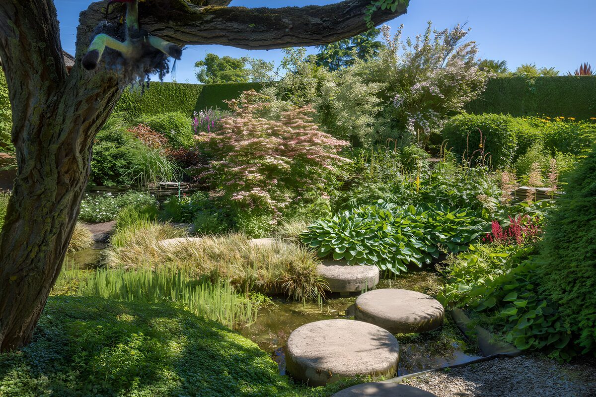 TPFR76646: Jardin paisible avec pierres de passage
