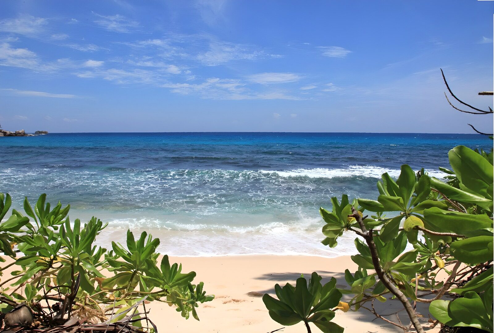 TPFR41066: Plage paradisiaque sous un ciel bleu