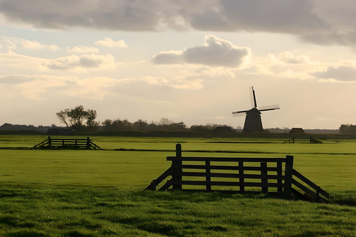 TPFR72457: Moulin à vent dans les champs verdoyants